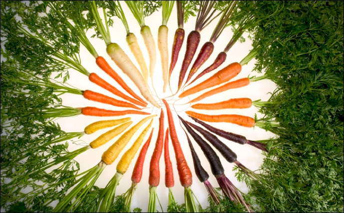 Photo: Different-colored carrots arranged in a circle