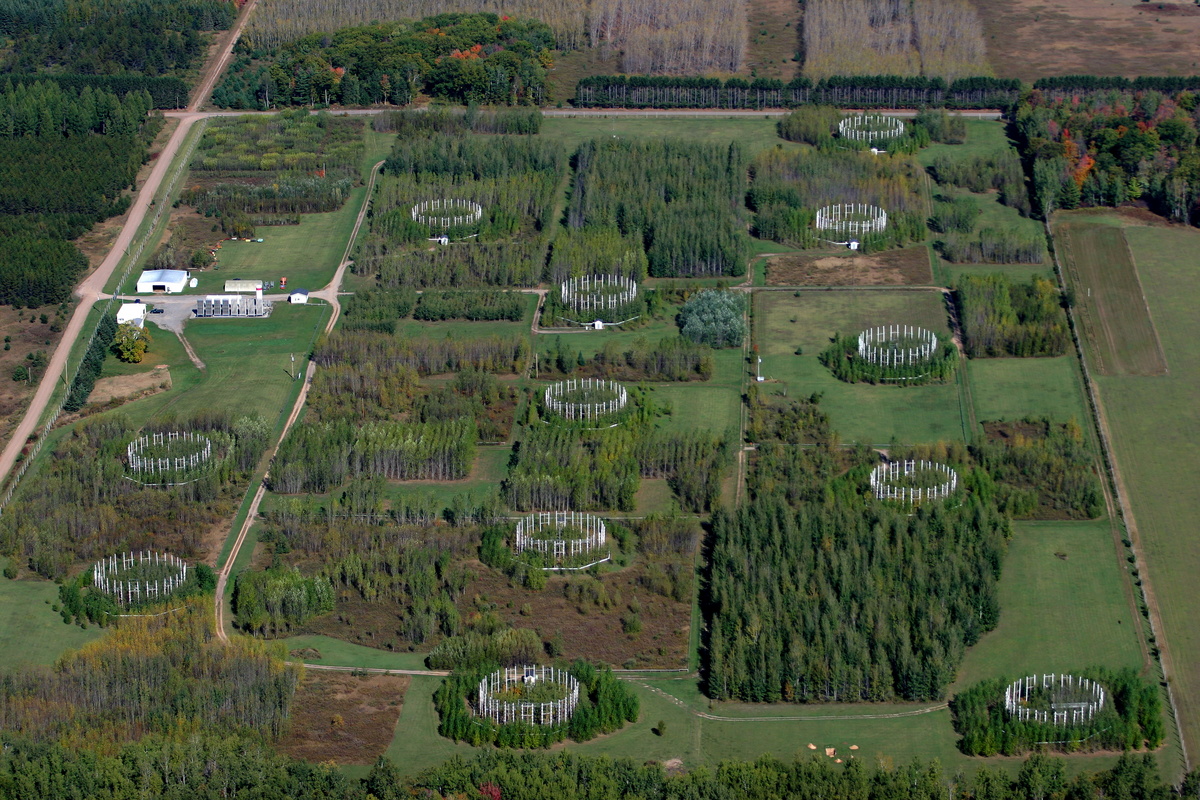 Photo: aerial view of the Aspen Free-Air Carbon dioxide and ozone Enrichment (Aspen FACE) experiment site