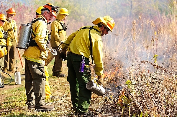 Photo: Workers performing controlled burn