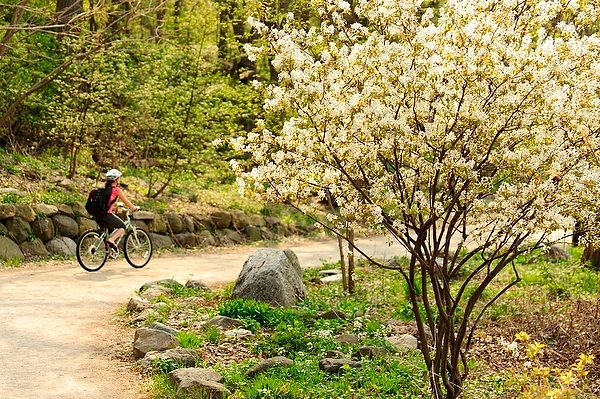 Photo: A bicyclist pedals along the Howard Temin Lakeshore Path. 