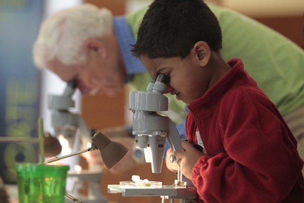Photo: People looking into microscopes
