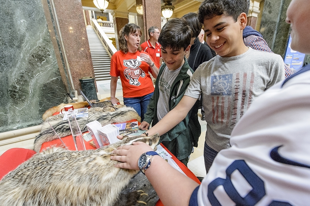 Photo: Students petting stuffed badger