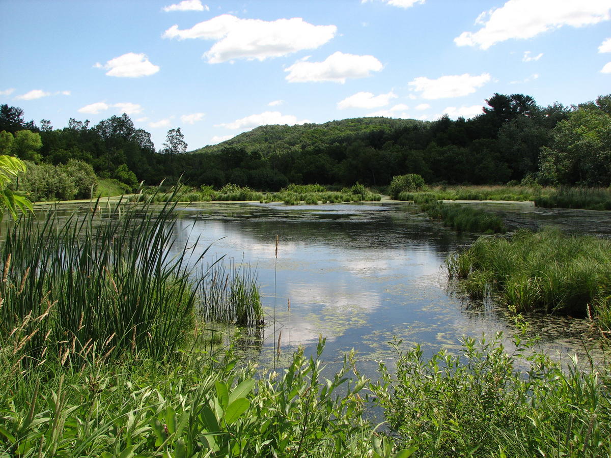 Photo: Pond in Kickapoo Valley Reserve