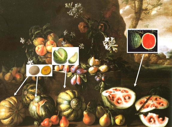 Photo: Giovanni Stanchi, “Frutta e fiori con paesaggio marino.” Italian, 15-16th century. Annotated with modern examples by Jim Nienhuis, professor of horticulture.