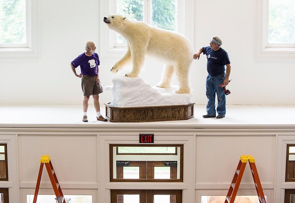Photo: Workers with stuffed polar bear