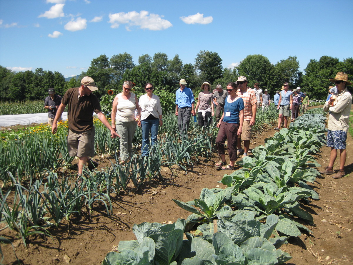 Photos: Students observing vegetable varieties