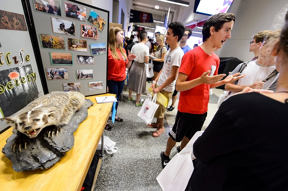 Photo: A taxidermic badger is on display as members of the UW–Madison Student Chapter of The Wildlife Society speak with students