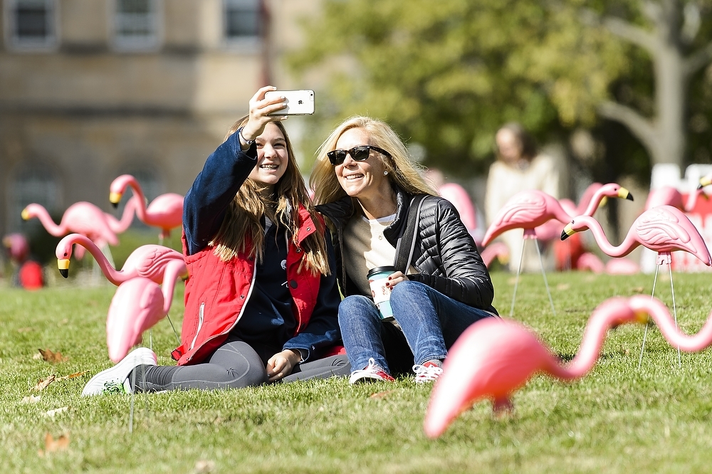 Photo: Two women taking a selfie in front of flamingos