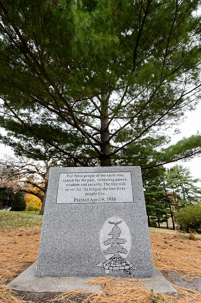 Photo: Tree of Peace