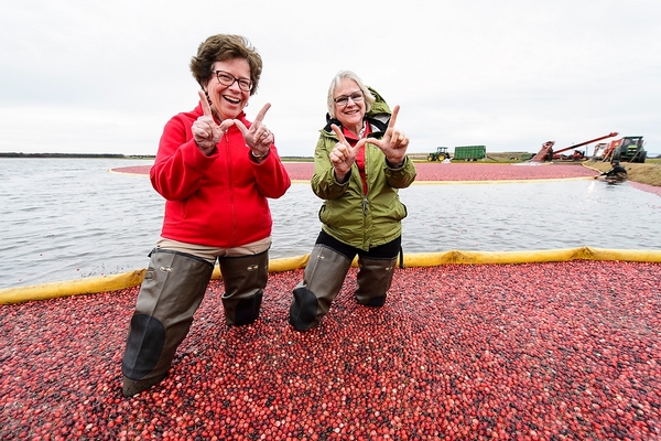 Photo: Rebecca Blank and Kate VandenBosch standing in cranberries
