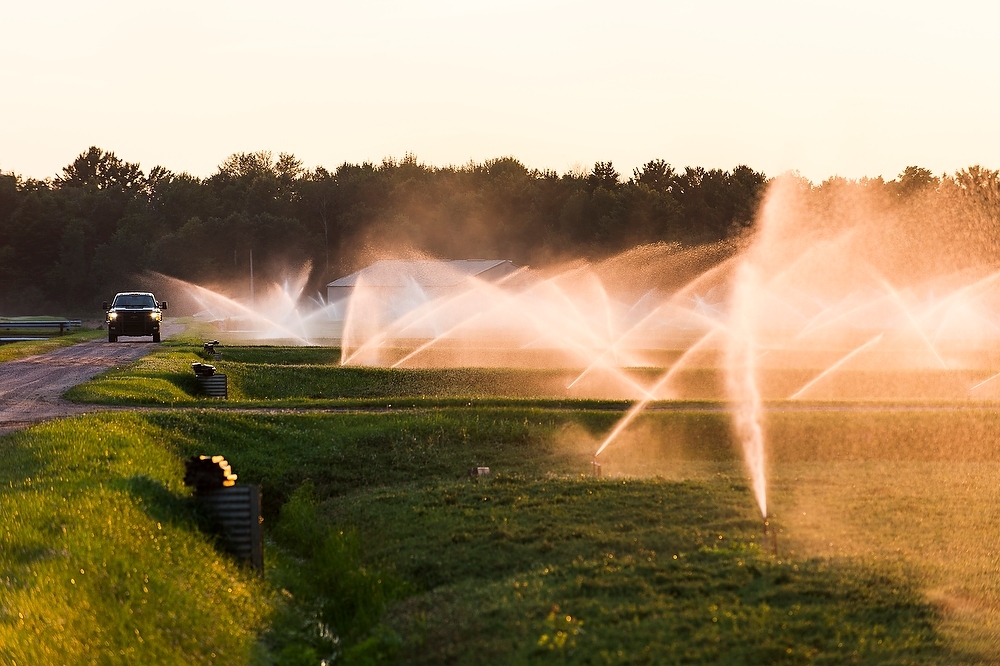 Photo: Irrigation system watering cranberry marsh
