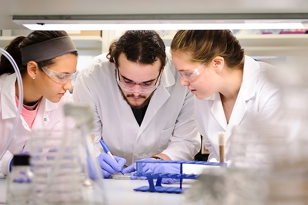 Photo: Students preparing bacteria culture in lab