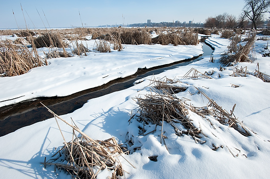 Photo of a stream of open water amidst a snow-covered field.