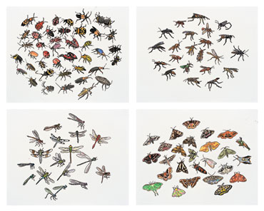 Nancy Mladenoff’s “Insects”