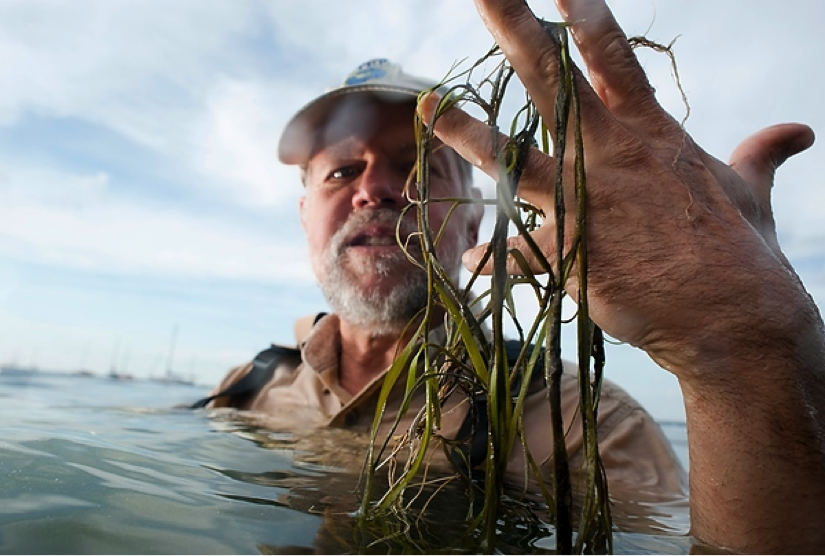 Photo: Steve Carpenter in water with weeds