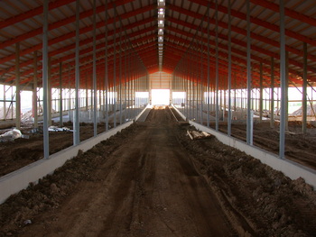 Photo: interior of dairy barn