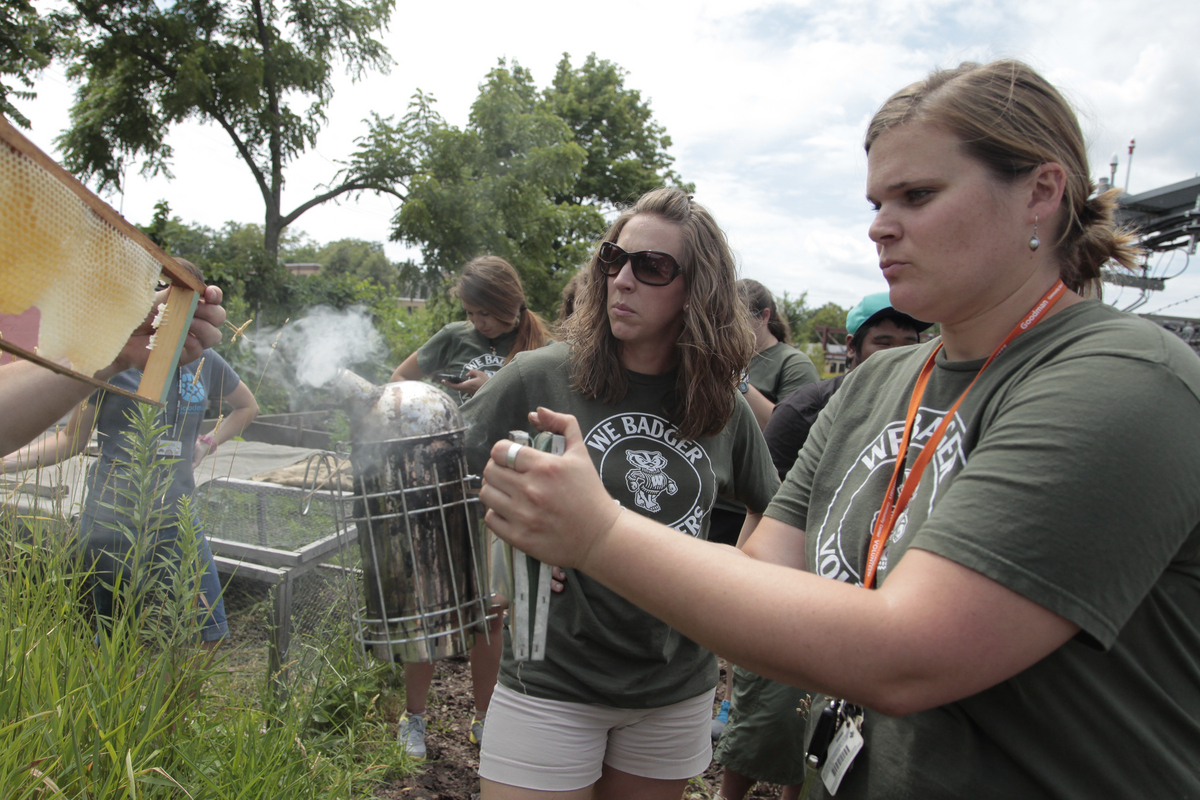 Photo: volunteers using beekeeping smoker