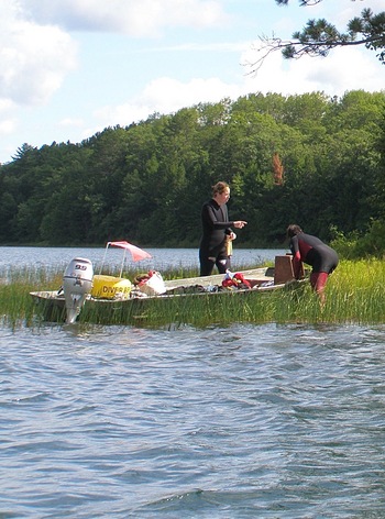 Photo: divers preparing for plant survey