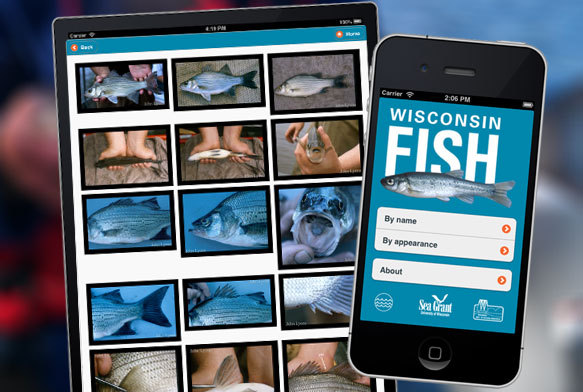 Photo: Fish identifier app on cell phone