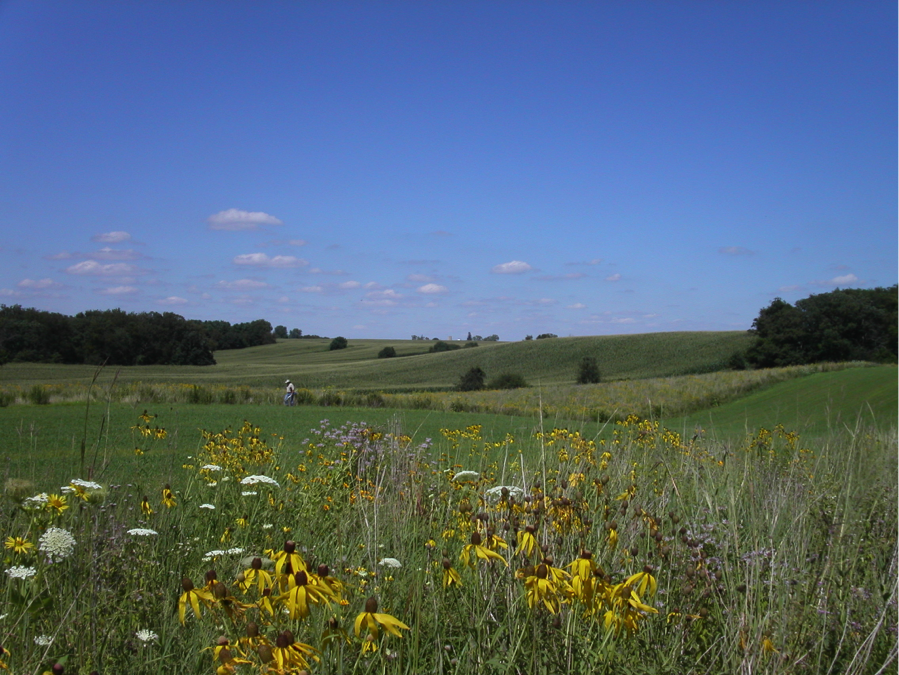 Photo: marginal farmland in foreground, croplands in background