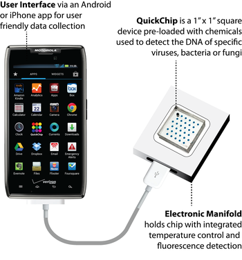 Diagram: QuickChip device