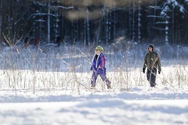Photo: people snowshoeing through Arboretum