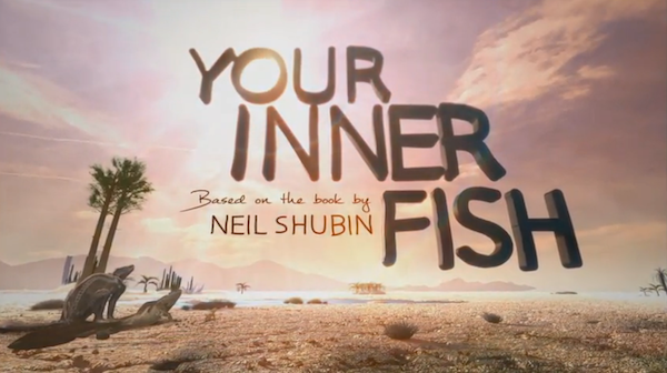 Your Inner Fish promo