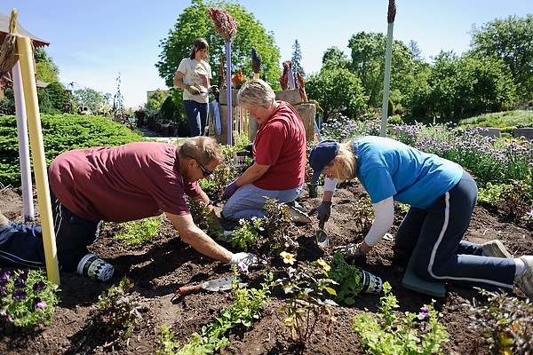 Photo: People planting flowers at Allen Centennial Gardens