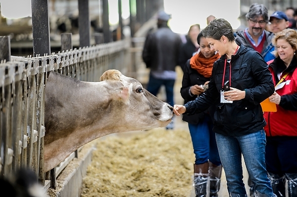 Photo: tour of dairy barn