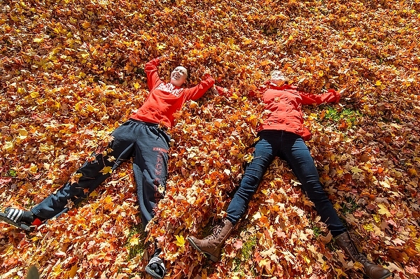 Photo: Leaf angels near Elizabeth Waters