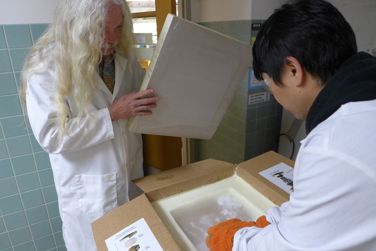 Photo: Lab workers opening crate of frozen plants