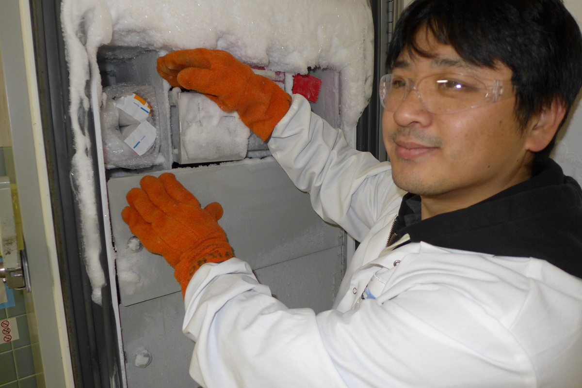 Photo: Lab worker putting frozen plants in freezer