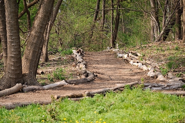 Photo: Lakeshore Path