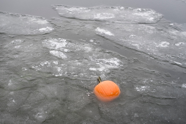 Photo: Pumpkin frozen into 