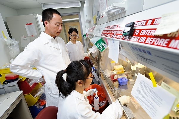 Photo: Su-Chun Zhang supervising his lab