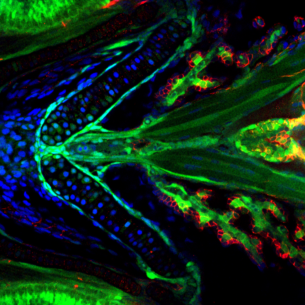 Cool Science Images 2012