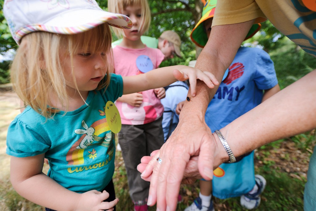An inquisitive youngster reaches out to gently touch a beetle resting on a naturalist's arm during a UW Arboretum Earth Focus Day Camp class for preschoolers.