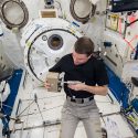 Astronaut Reid Wiseman injected a fixative solution onto young seedlings from the lab of Simon Gilroy on the International Space Station. Photo: NASA
