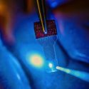 A blue light shines through a clear implantable medical sensor onto a brain model. This technology to improve the control of prosthetic devices by the brain was developed by UW-Madison engineers.
Photo: Justin Williams research group