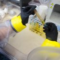 A research assistant handles bacteria samples inside an anaerobic glove bag in a lab at the Microbial Sciences Building.
