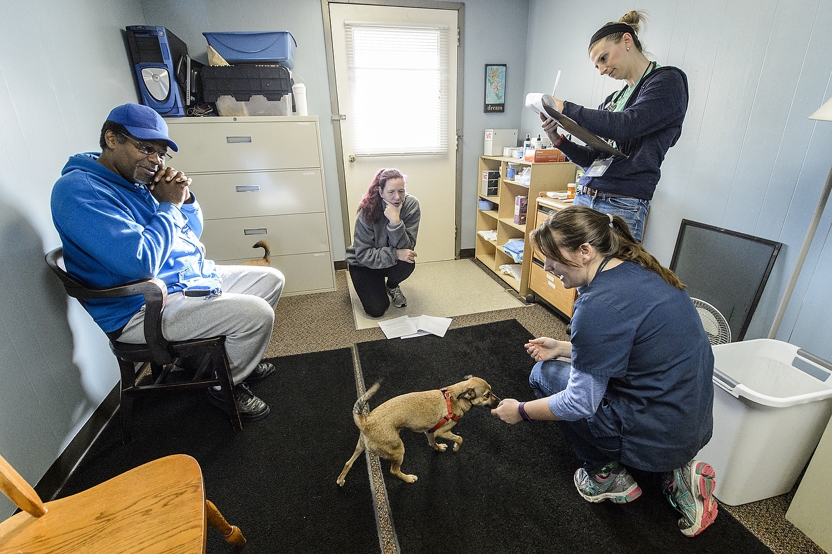 Veterinary Medicine students Melissa Hayes (right) and Lindsey Meyer (far right) perform a check-up on Ike and Tina as the dogs' owners, Clarence and Kelly look on. The clinic, which provides free care to those who are homeless or at risk of homelessness, is run by Wisconsin Companion Animal Resources, Education and Social Services (WisCARES).