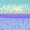 The new nanoscale manufacturing process draws zinc to the surface of a liquid, where it forms sheets just a few atoms thick.
