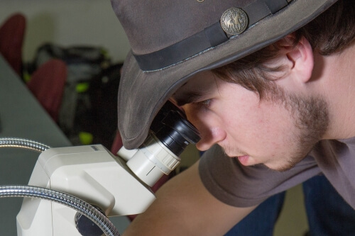 Christopher Heisey analyzes farm insects in the Farm & Industry Short Course.