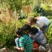 Photo: Students in a school garden