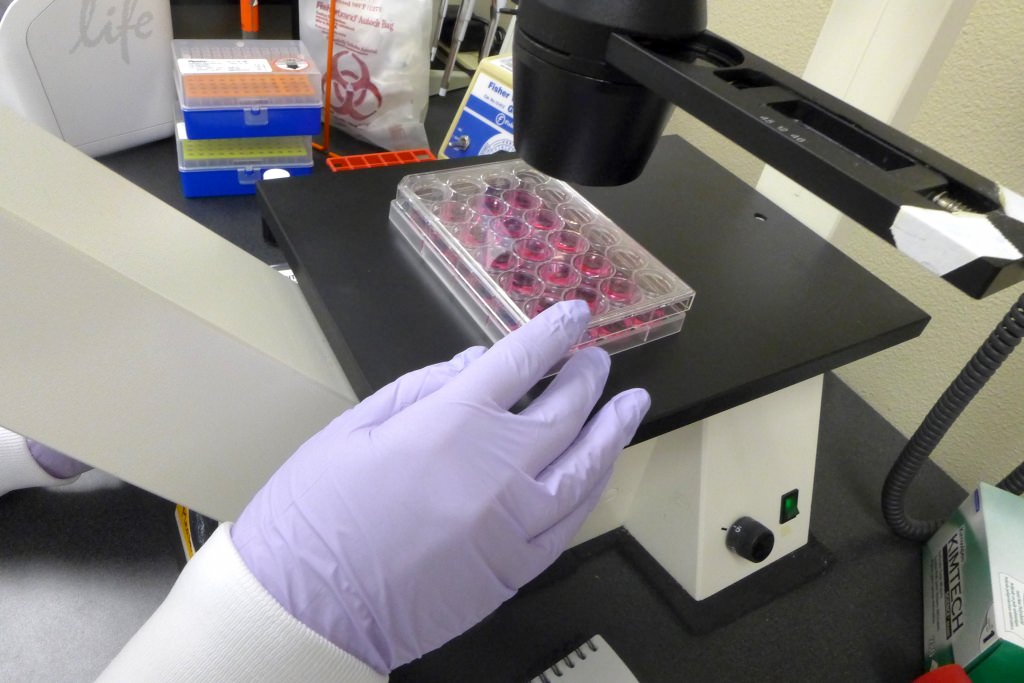 UW biotech spinoff Mirus Bio celebrates two decades in business