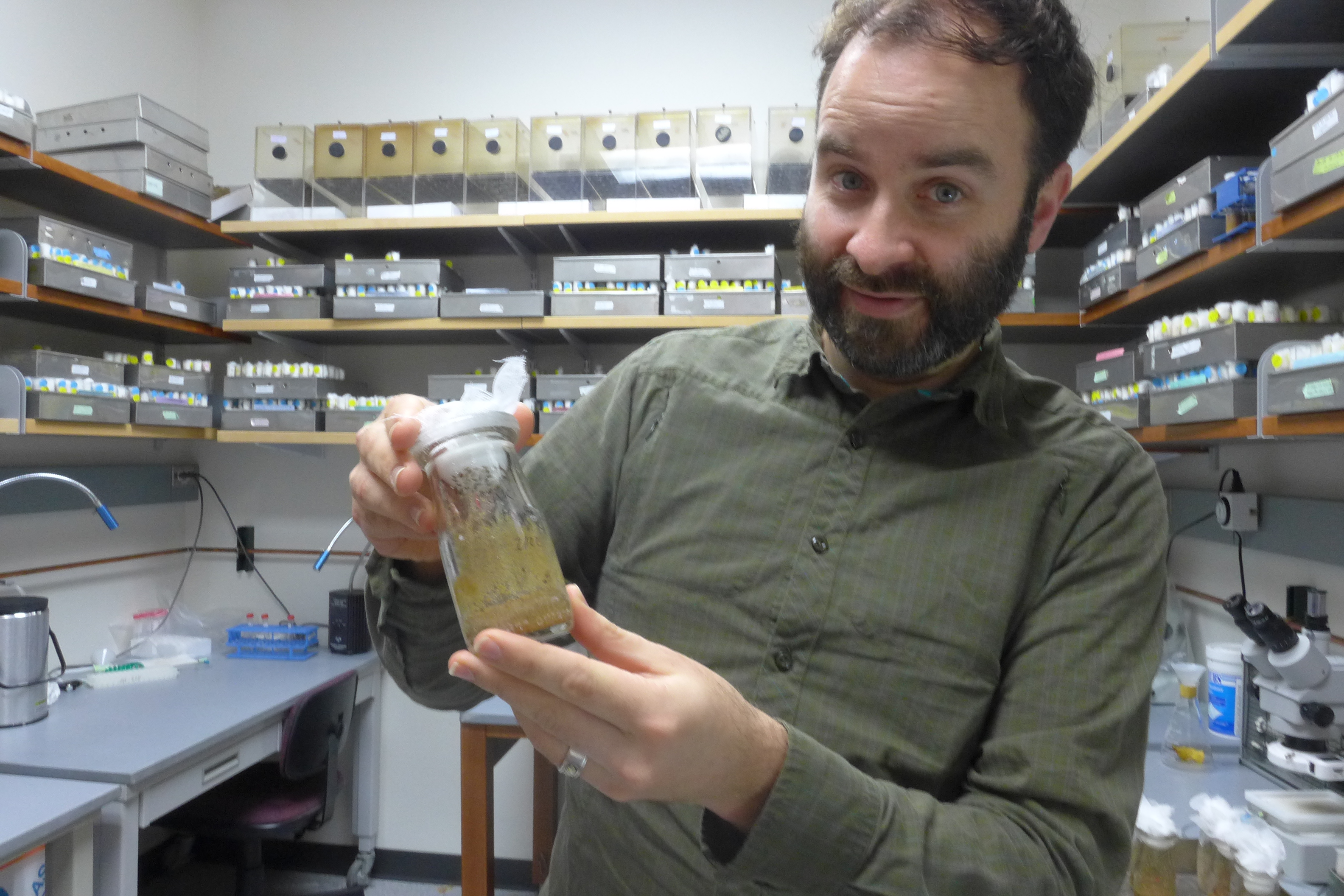 John Pool, assistant professor of genetics at UW–Madison, studies evolutionary genetics in his "fly room." 