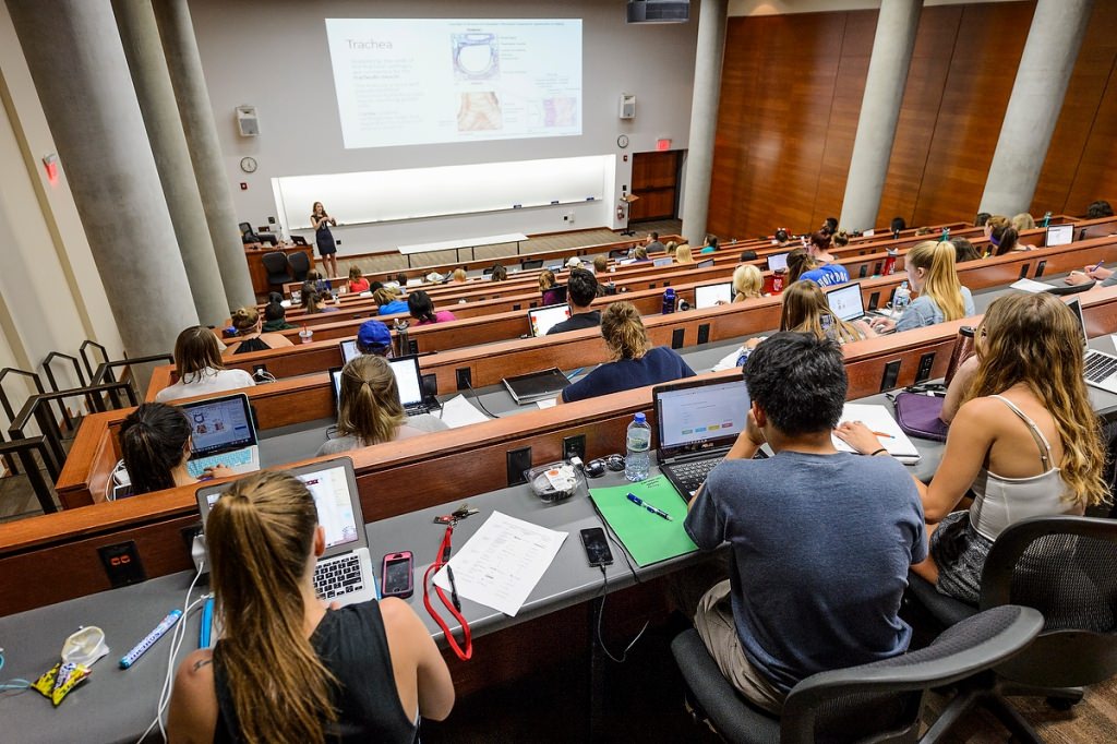 Undergraduate students refer to their laptops as they take notes about the human anatomy during a Kinesiology 328 class in the Education Building. The class is taught by Julie Stamm, associate lecturer of kinesiology in the School of Education.