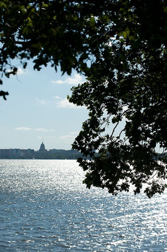 Photo: Madison skyline