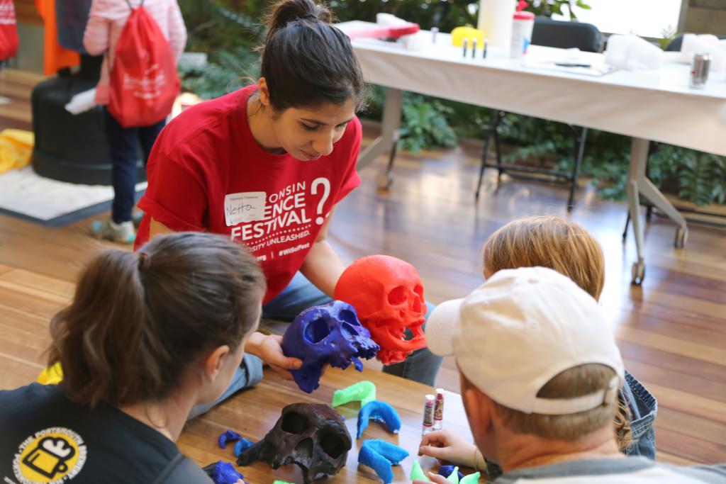 Photo: A volunteer and visitors compare 3-D-printed models of hominin skulls at the 2015 Wisconsin Science Festival’s Discovery Expo. The Discovery Expo is a hands-on, family-friendly event that takes place in the Discovery Building over all four days of the festival.