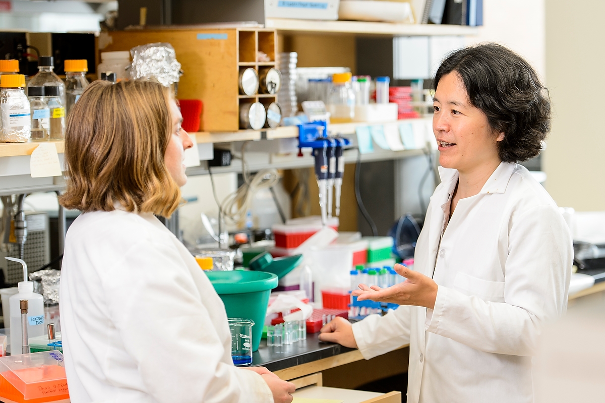 Jue "Jade" Wang (right), associate professor in the Department of Bacteriology, works with student Christina Johnson in Wang's lab in the Microbial Sciences Building. Wang is the recipient of a Howard Hughes Medical Institute Faculty Award. 
